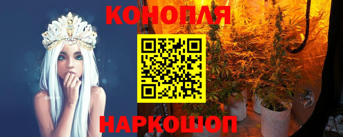 Галлюциногенные грибы Камышин